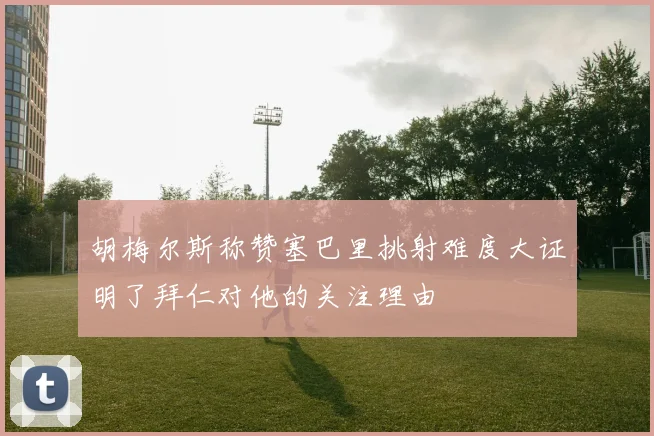 胡梅尔斯称赞塞巴里挑射难度大证明了拜仁对他的关注理由