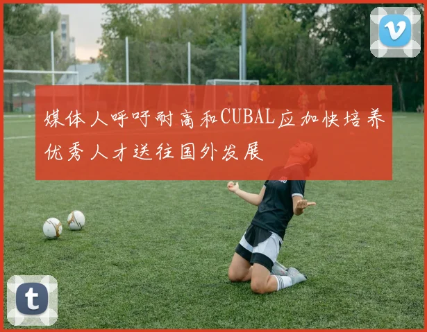 媒体人呼吁耐高和CUBAL应加快培养优秀人才送往国外发展